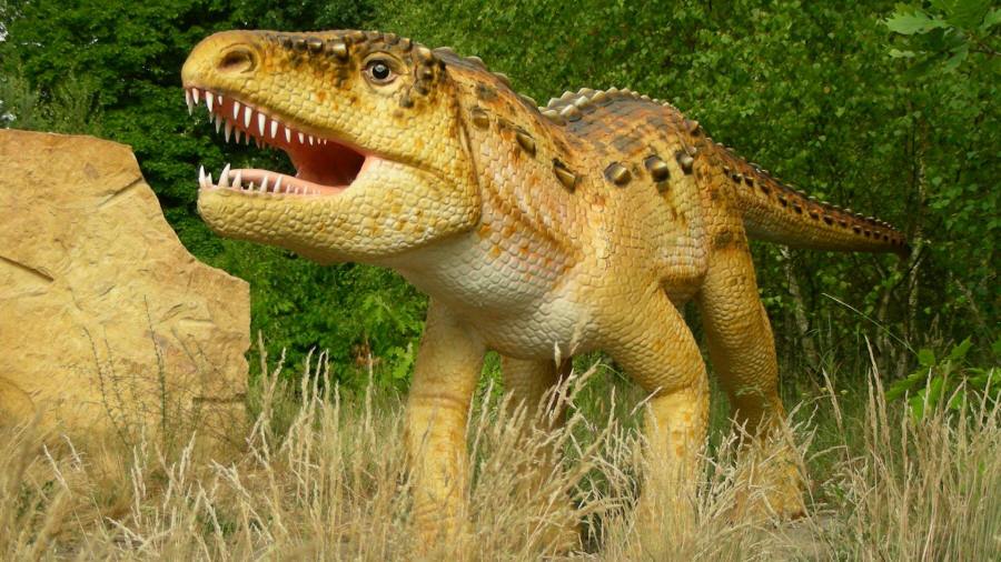 dinosaurier däggdjur förhistoriska djur av istidens modell verkstad 02
