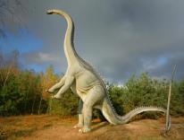 dinosaurier däggdjur förhistoriska djur av istidens modell verkstad 05
