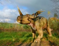 dinosaurier däggdjur förhistoriska djur av istidens modell verkstad 06